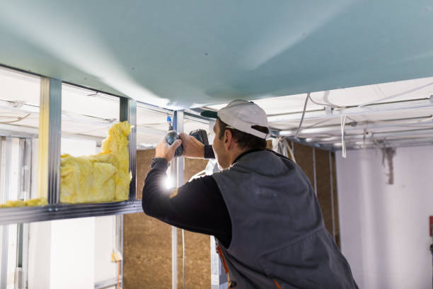 Best Energy Efficiency Insulation in Fenton, MO