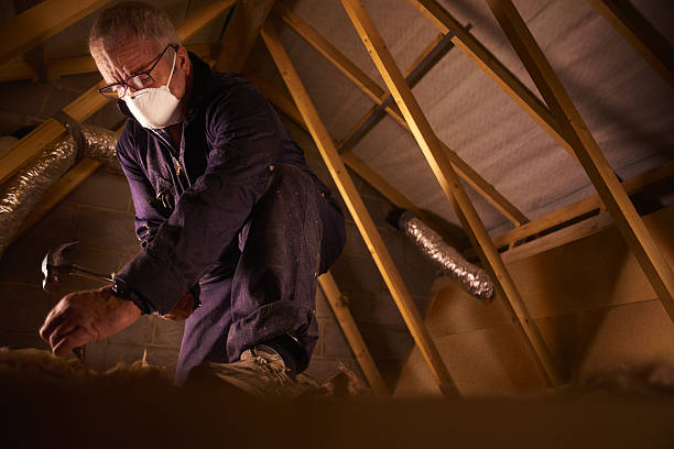 Best Commercial Insulation in Fenton, MO